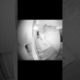 pulse image